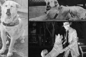 Hachiko: The True Story of a Loyal Dog Who Waited For His Deceased Owner for Ten Years