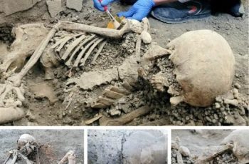 Pompeii’s Tragic Tales: Skeletons Shed Light on Vesuvius Disaster