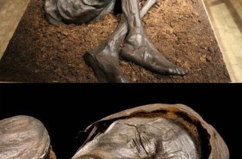The Tollund Man: A 2,400-Year-Old Mystery Preserved in a Danish Bog