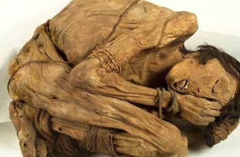A Window to a Lost World: The Chimu Mummy and the Wonders of an Ancient Civilization