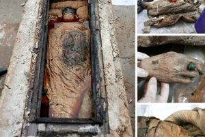 Preserved in Time: The Fascinating Tale of the Ming Dynasty Taizhou Mummy