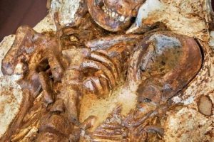 Stone Age Secrets: The Tender Embrace of a Young Mother and Her Infant