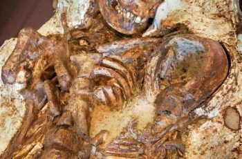 Stone Age Secrets: The Tender Embrace of a Young Mother and Her Infant