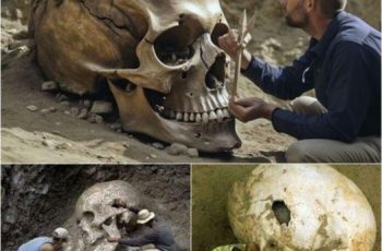 Ancient Mysteries: Archaeologists Discover the Legendary Nephilim Skull